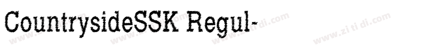 CountrysideSSK Regul字体转换